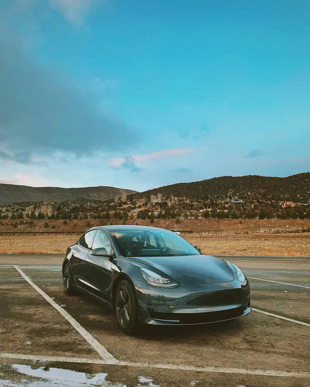 台灣神貓卡特喵喵：從路邊野貓到國際網紅的勵志故事