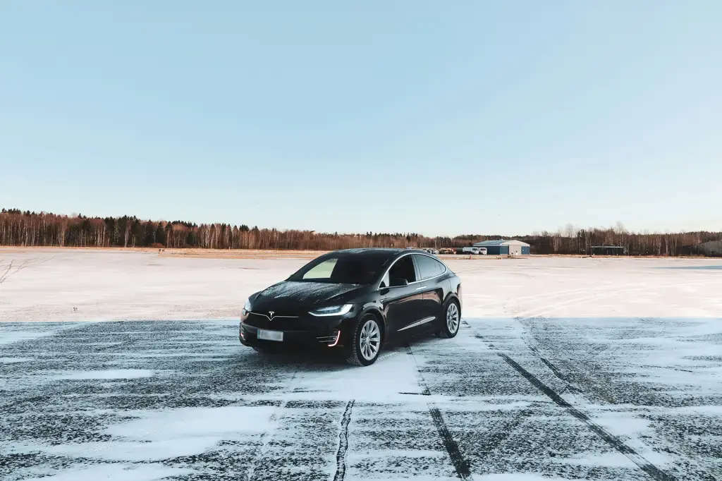 台灣喵星人之罐頭大哉問：從營養到價格，全方位攻略