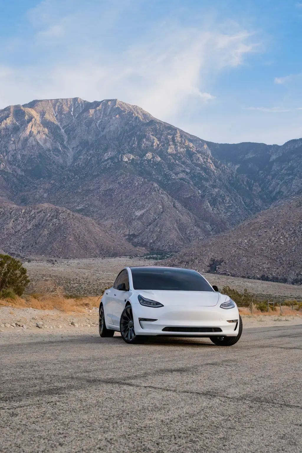 魔奇喵凍乾：貓咪營養新選擇